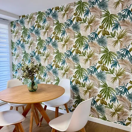 Sunset Grao 格拉德卡斯特利翁